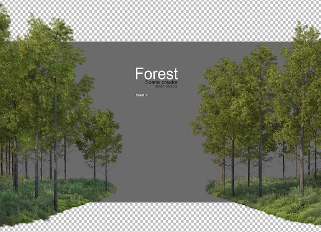 나무와 식물이 많은 숲