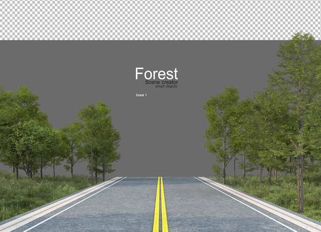 Forests with many trees and plants