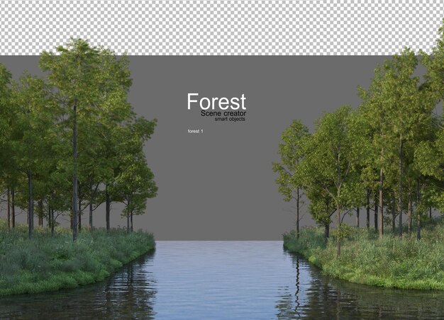Forests with many trees and plants