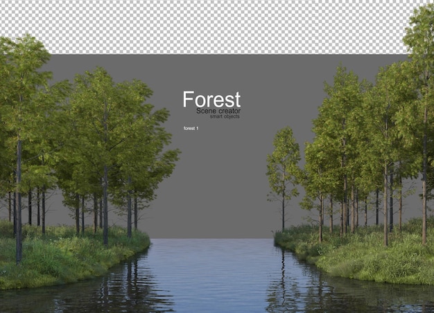 Forests with many trees and plants