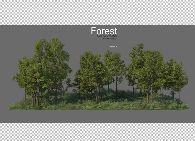 PSD forests with many trees and plants