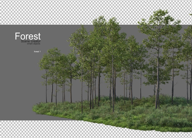 PSD forests with many trees and plants