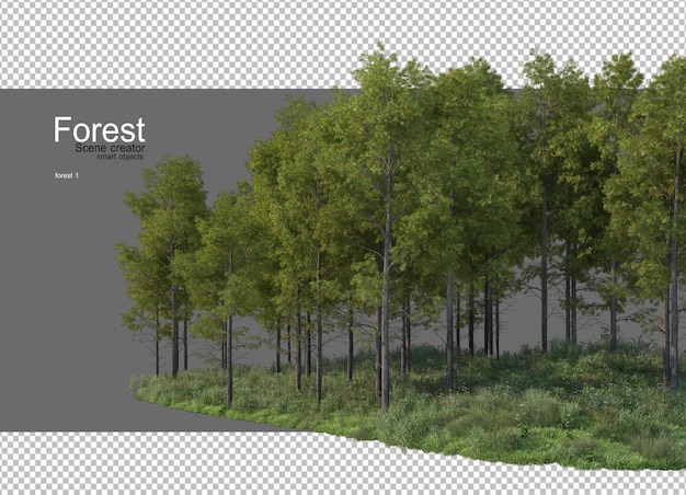 PSD forests with many trees and plants