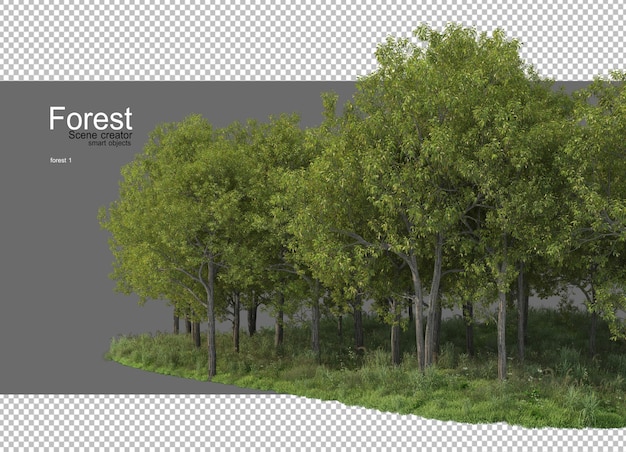 PSD forests with many trees and plants