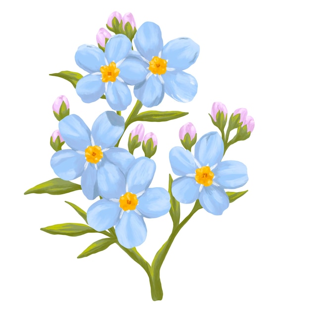 PSD forget me not flower painting