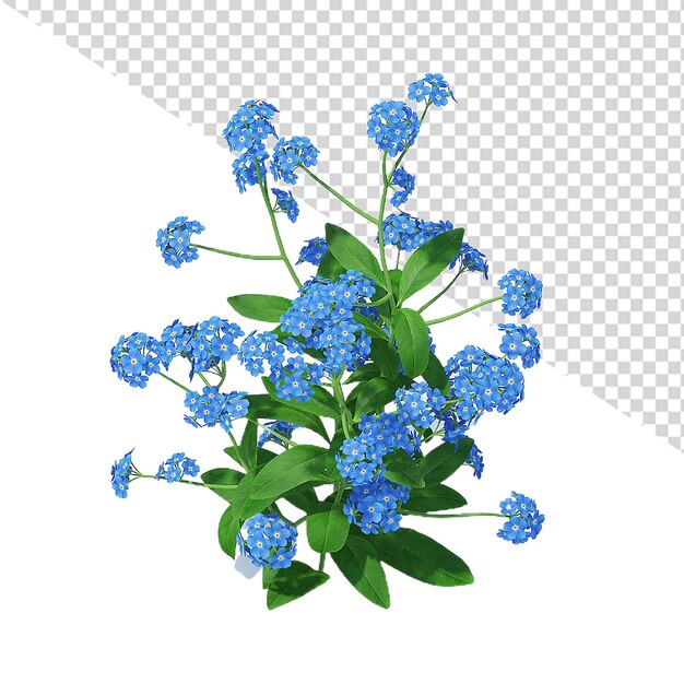 PSD 花ではなく私を忘れてくださいpng