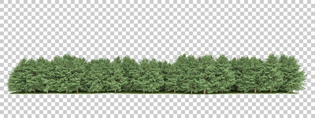 투명 배경 3d 렌더링 그림에 포레스트 배열