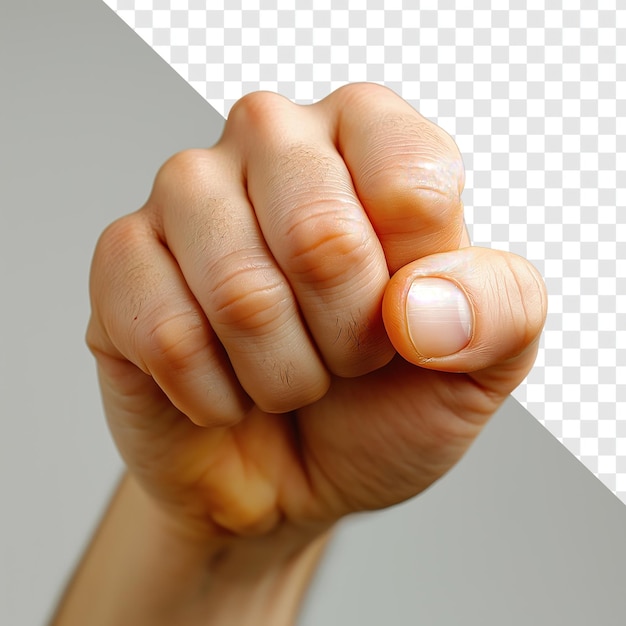 Fortunes Favor Hand with Crossed Fingers Isolated