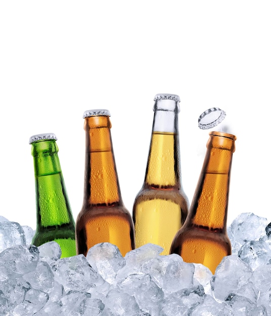 Four bottles of beer in ice cubes transparent background