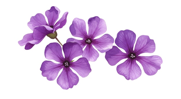4つの細な紫色のライラックの花と目に見える静脈