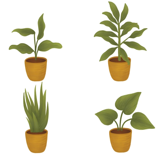 Four green plant in a peanut-brown pot color painting elements