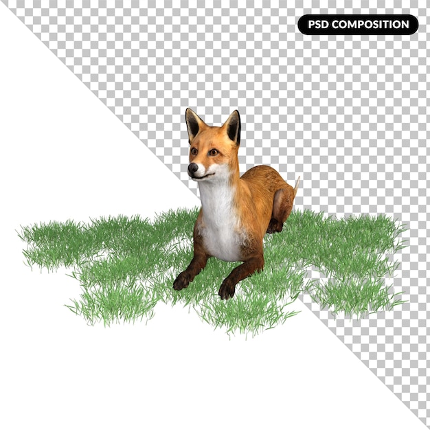 PSD fox animal character