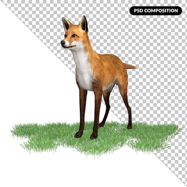 PSD fox animal character