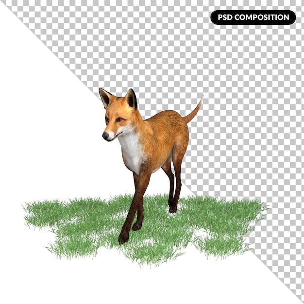 PSD fox animal character