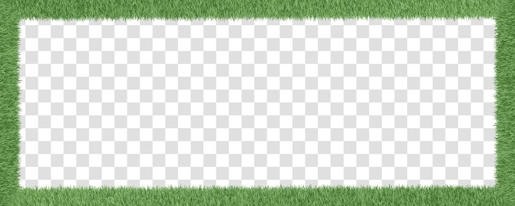 Frame grass