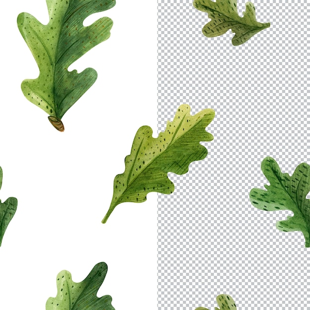 스코틀랜드 식물의 프레임입니다. 오크 잎. 식물 수채화 그림, 인사말 및 초대장 프레임