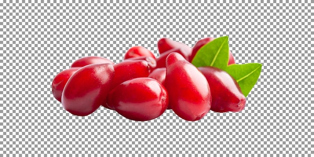 French bunch of red dogberry with a green leaf isolated on transparent background