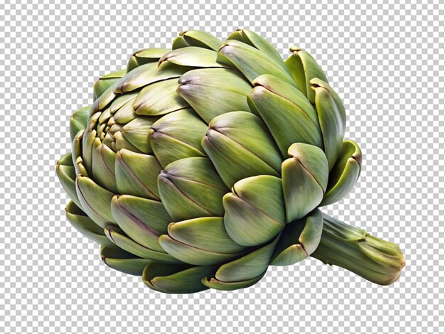 PSD fresh artichoke