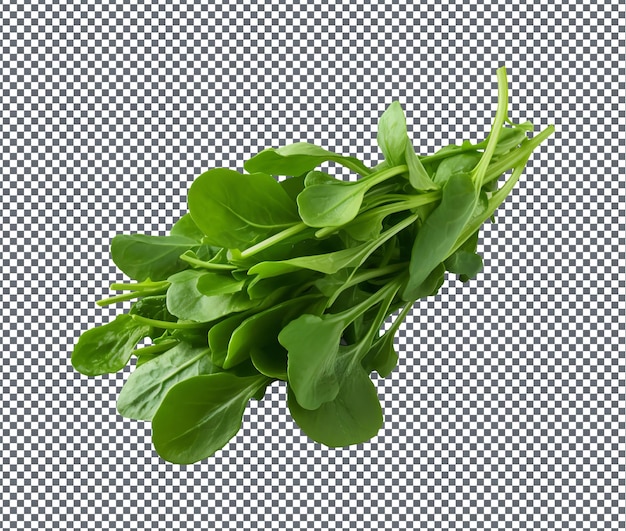 PSD fresh and beautiful arugula isolated on transparent background