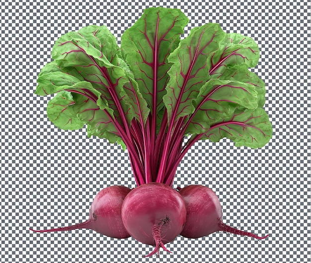 Fresh and beautiful beetroot ribbon isolated on transparent background