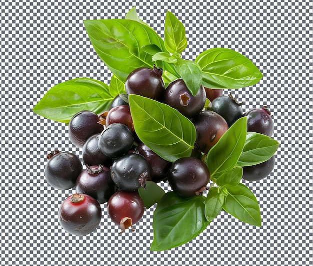 PSD fresh and beautiful berry blend isolated on transparent background