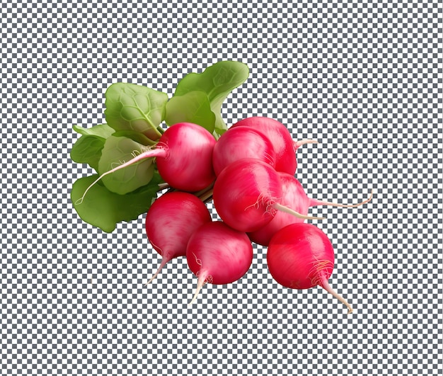 PSD fresh and beautiful radishes isolated on transparent background