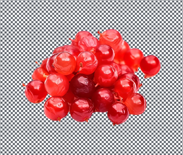 PSD fresh and beautiful red currants dried isolated on transparent background