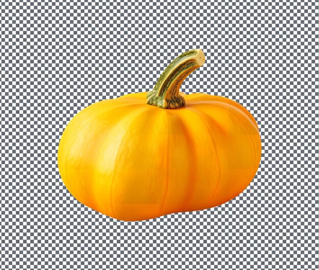 PSD fresh and beautiful squash isolated on transparent background