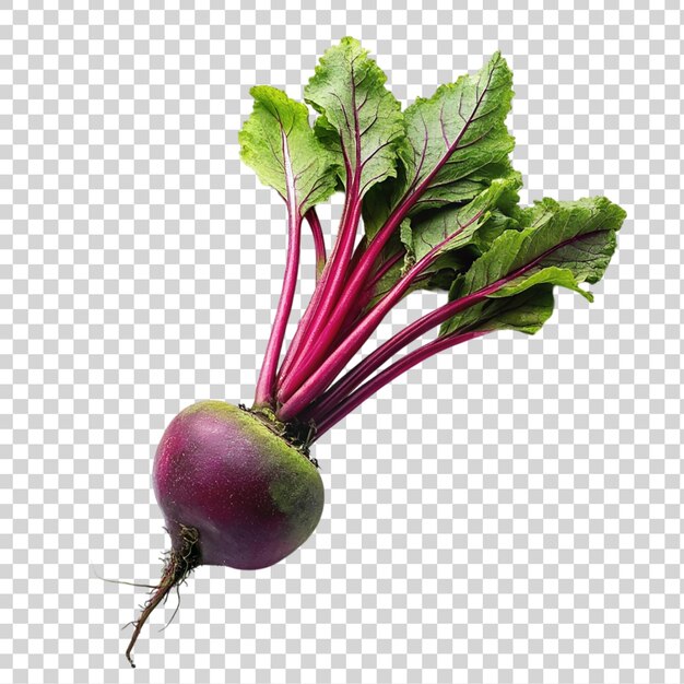 PSD a fresh beetroot on transparent background