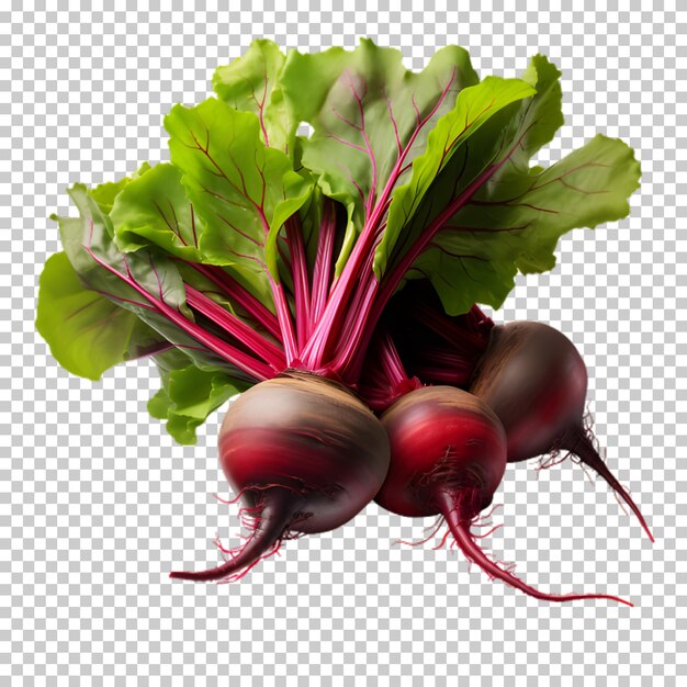 PSD fresh beetroots png with transparent background