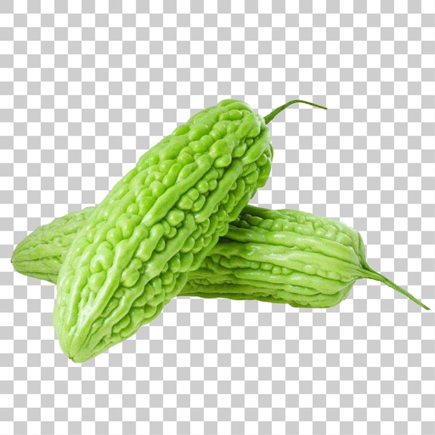 Fresh Bitter Melons