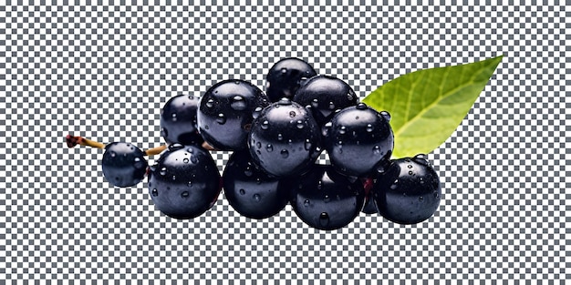 PSD fresh black currants with leaves isolated on transparent background