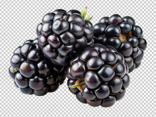 PSD fresh blackberries