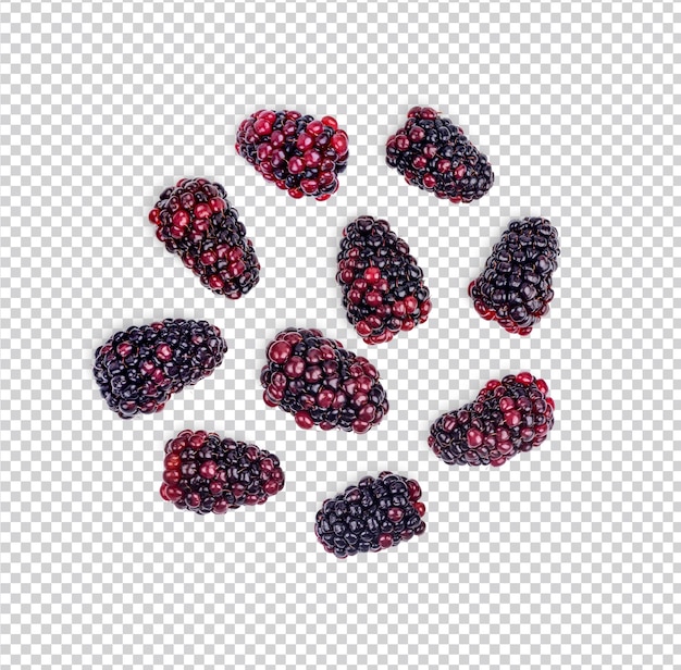 Fresh blackberry isolated premium psd top view