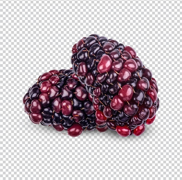 Fresh blackberry isolated premium psd