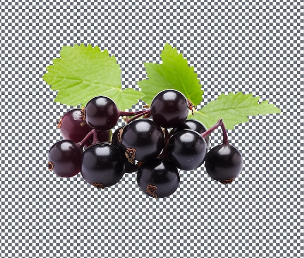 PSD fresh blackcurrant isolated on transparent background