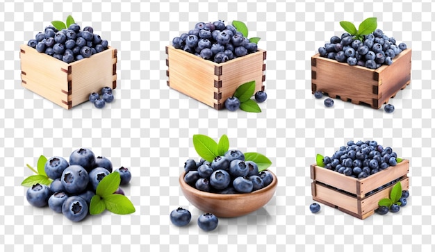 PSD fresh blueberries on transparency background psd