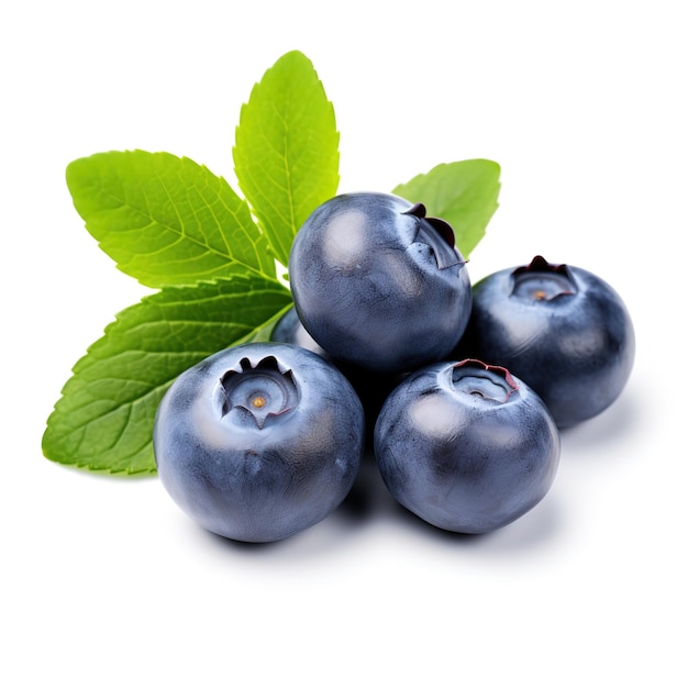 PSD fresh blueberries with leaves