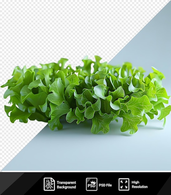 PSD fresh bright green salad leaves over wood table