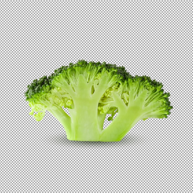 Fresh broccoli blocks for cooking isolated on alpha background