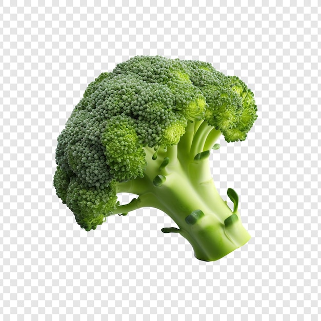 Broccoli freschi isolati su sfondo trasparente