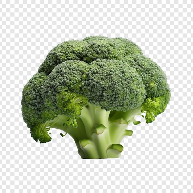 Broccoli freschi isolati su sfondo trasparente