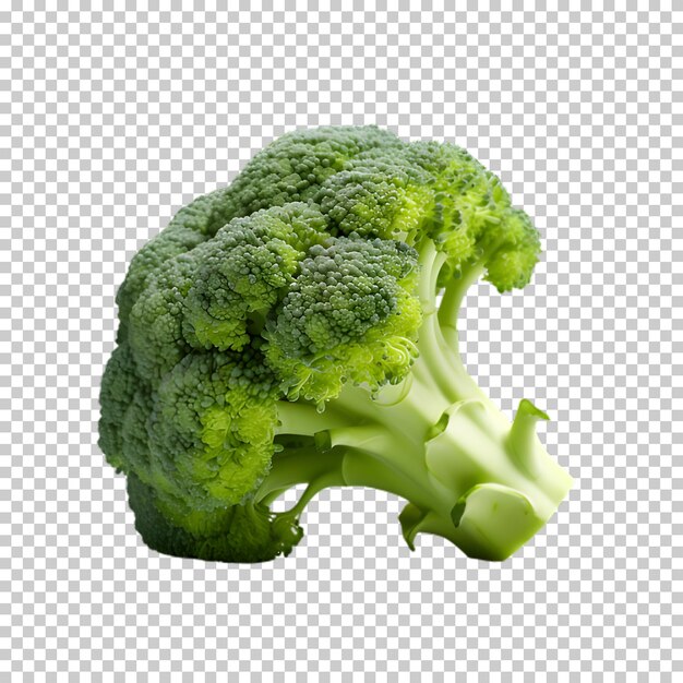 Fresh broccoli png on white and transparent background