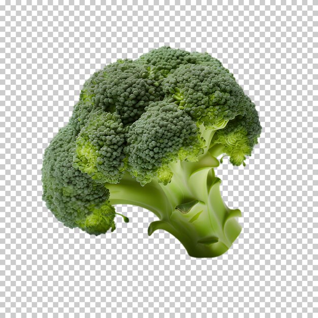 PSD png di broccoli fresco su sfondo bianco e trasparente.