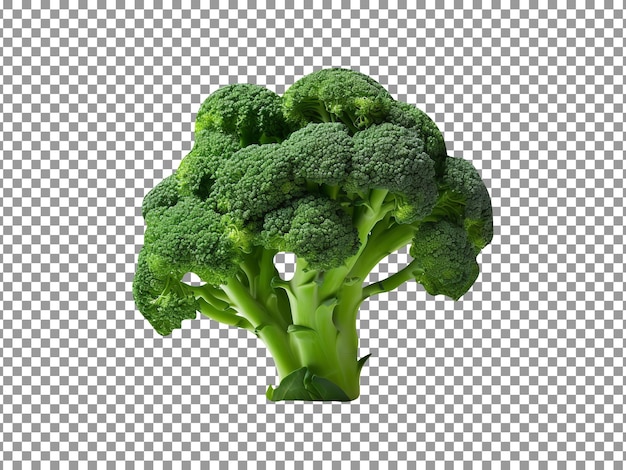 Verdure di broccoli freschi isolate su sfondo trasparente