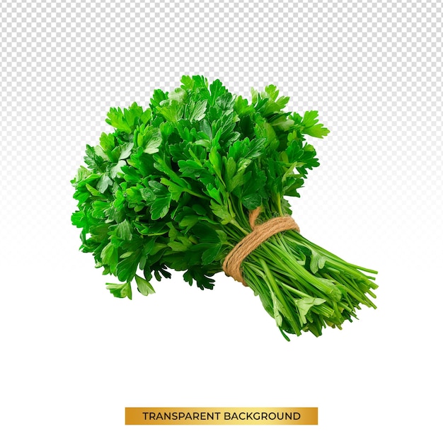 PSD fresh bunch of parsley on white background