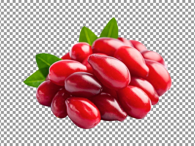 PSD fresh bunch of red cornel berries with green leaves on transparent background