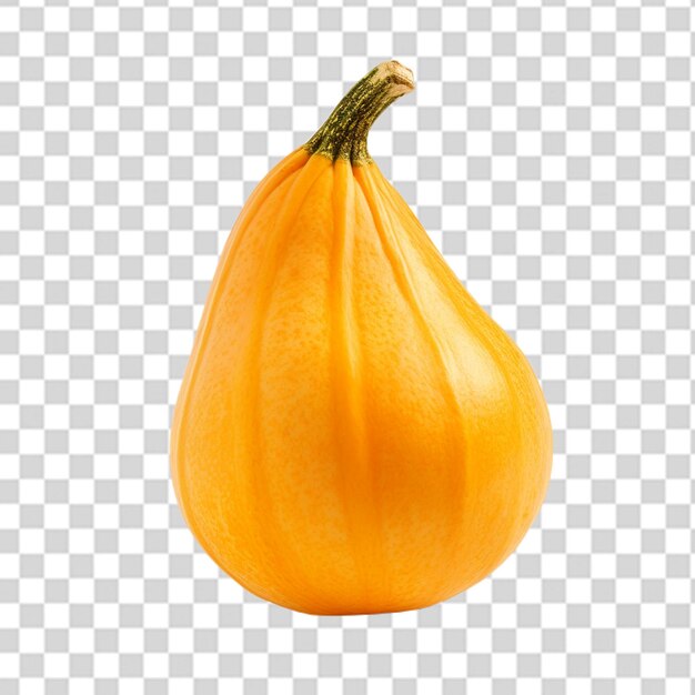 PSD a fresh butternut squash png