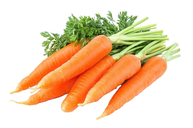 Fresh carrots with green tops healthy root vegetable food concept on transparent background