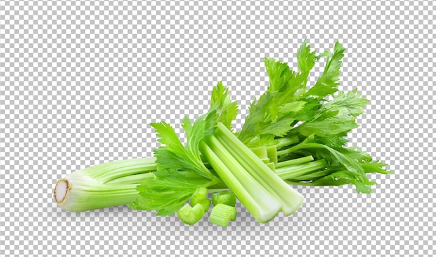 PSD fresh celery isolated on alpha layer